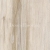 7637 Клен Curly