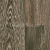 8766 Венге Kyoto