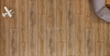 Дуб Беринг 562