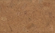 310v NN